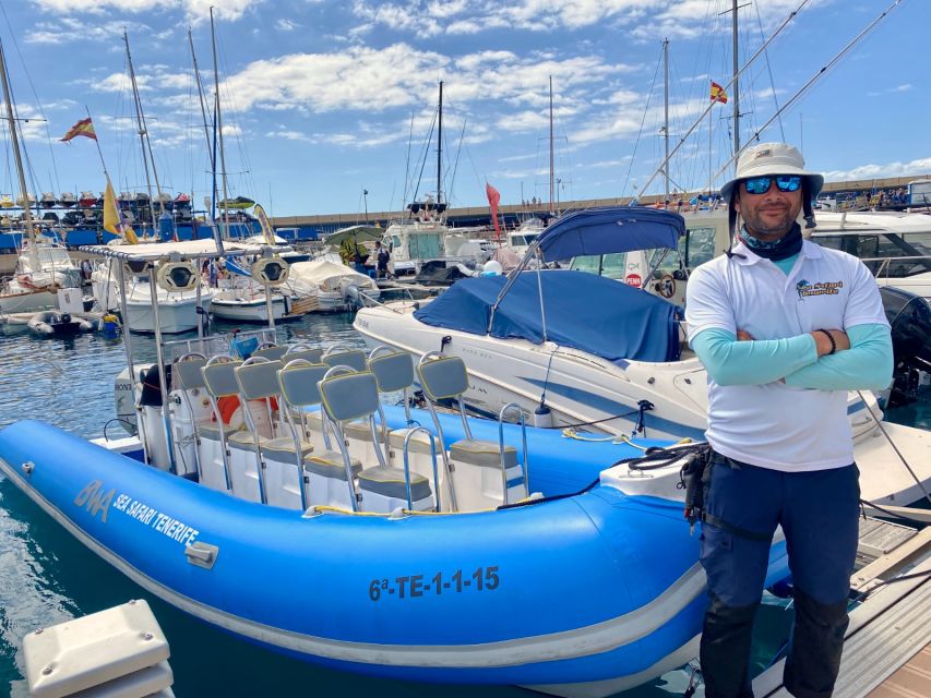 Puerto Colon: Dolphin and Whale Watching Speedboat Cruise - What to Pack and Wear for a Smooth Swim-Stop Day