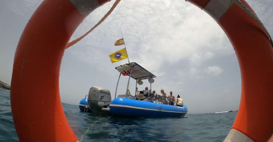 Puerto Colon: Dolphin and Whale Watching Speedboat Tour - What the 2–3 Hour Plan Looks Like on the Atlantic