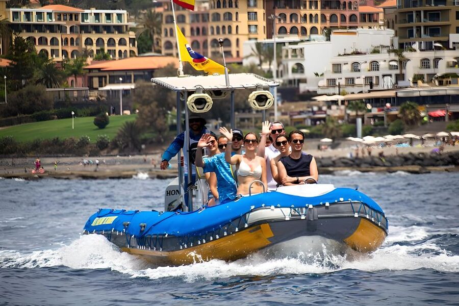 Puerto Colon: Dolphin and Whale Watching Speedboat Tour - Snorkeling and Swimming Stop: What You Actually Get In the Water