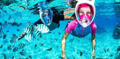 Puerto del Carmen: Dolphin-Watching Speedboat Tour with Swim - How the crew searches for dolphins and whales