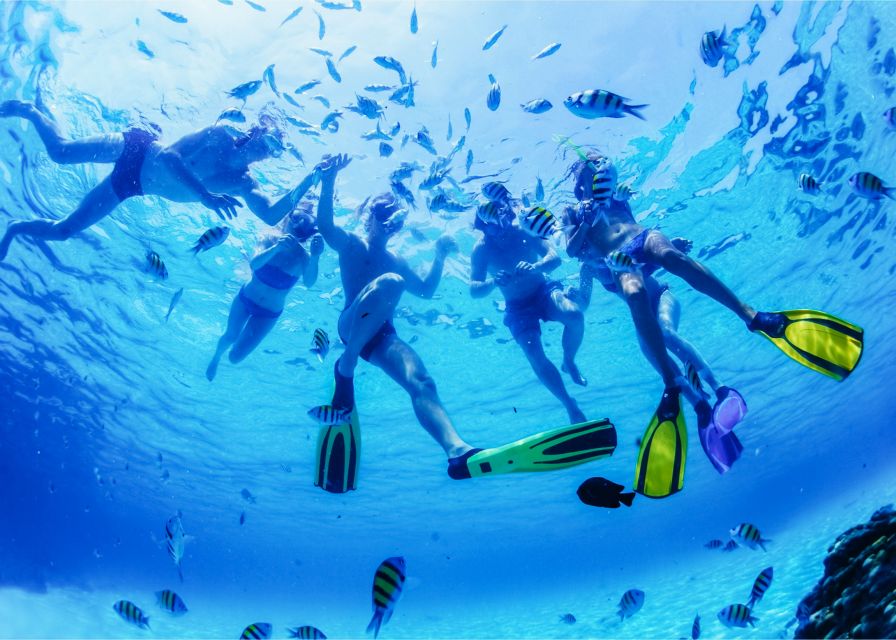 Puerto del Carmen: Dolphin-Watching Speedboat Tour with Swim - What to pack (and what to skip)