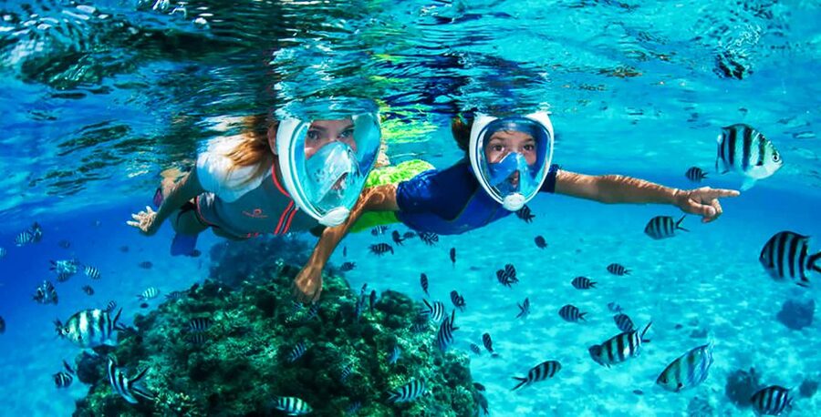 Puerto del Carmen: Dolphin-Watching Speedboat Tour with Swim - Who this tour is for, and who should reconsider