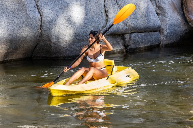 Puerto Vallarta Best Zipline Canopy + Tequila and Speed Boat Ride - The On-Site Menagerie: Quick Nature Encounters Without the Big-Chase Feeling