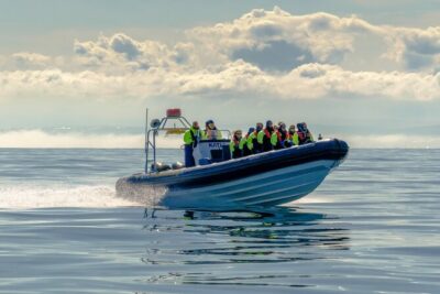 Puffin Watching Speedboat Express - How the tour flows: Harpa, the city sights, Videy, Sun Voyager, and Old Harbour