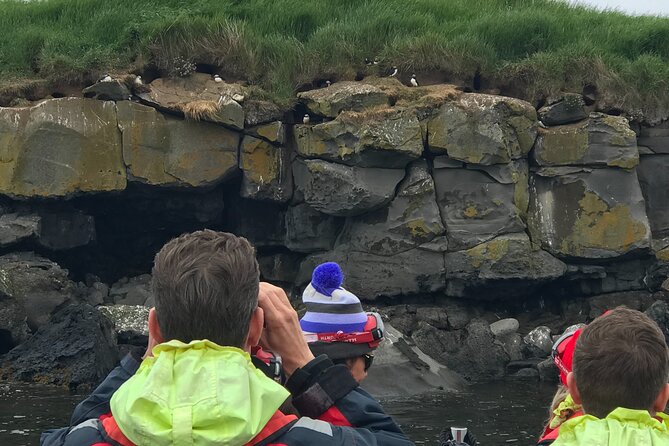 Puffin Watching Speedboat Express - When this tour is the right fit (and when it isn’t)