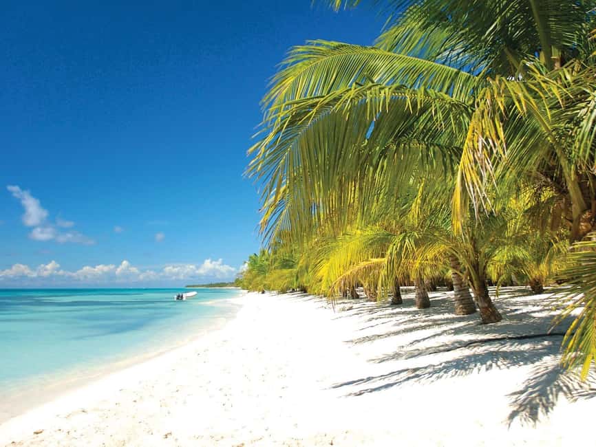 Punta Cana: Saona Island Speedboat and Catamaran Tour - Why a speedboat plus catamaran makes sense for Saona