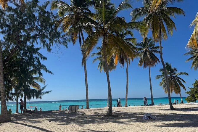 Punta Cana Speed Boat to Saona Island with Lunch & Natural Pools - Sea Turtle Sanctuary Stop: What the Turtle Part Really Means