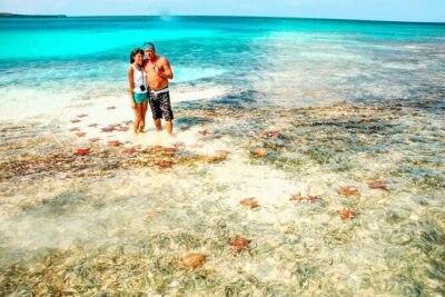Punta Cana Speed Boat to Saona Island with Lunch & Natural Pools - Palmilla Natural Pools: Starfish-Watching in Shallow Water