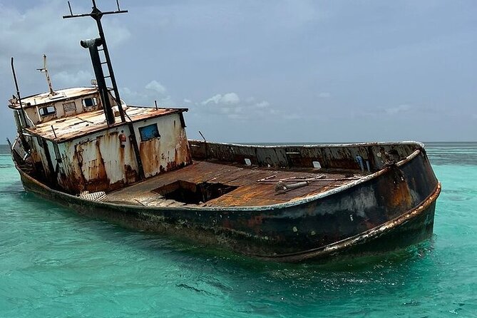 Punta Cana Speed Boat to Saona Island with Lunch & Natural Pools - Lunch, Drinks, and Food Value for $125