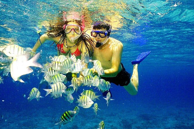 Punta Cana Speed Boat Tour and Snorkeling - What the Speedboat Ride Feels Like (and Why It’s Worth It)