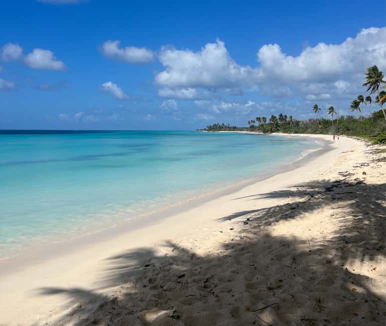 Punta Cana: VIP Private Speedboat Escape to Saona Island - A Natural Pool Start That Sets the Tone for the Day
