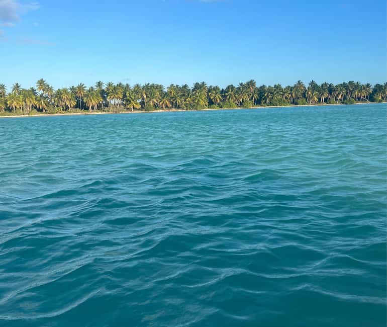 Punta Cana: VIP Private Speedboat Escape to Saona Island - Mano Juan Village: VIP Dominican Lunch in an Actual Fishing Community