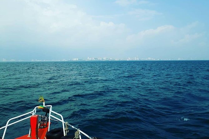 Racha & Coral Island Day Trip by Speedboat - Lunch Included - Coral Island: beach break, photo time, and optional water activities