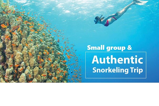 REAL snorkel &island hopping by SPEEDBOAT-EXPLORE CUISINES(MAX12) - The island-hopping plan: what stops you can expect
