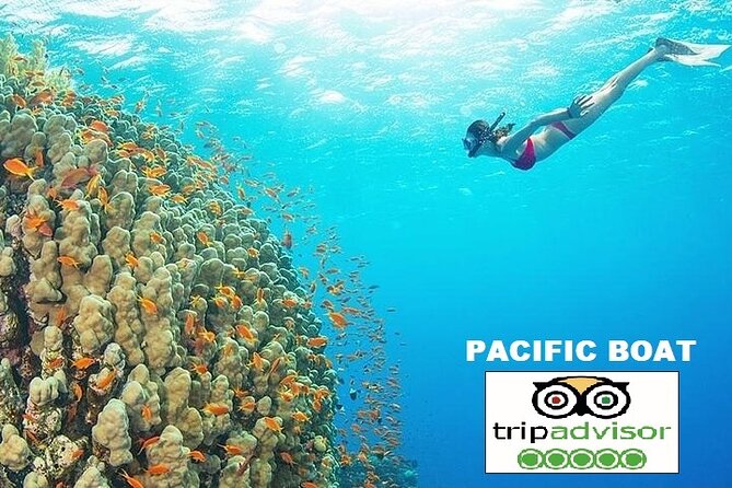 REAL snorkel &island hopping by SPEEDBOAT-EXPLORE CUISINES(MAX12) - Guides and group pace: the difference between rushed and managed