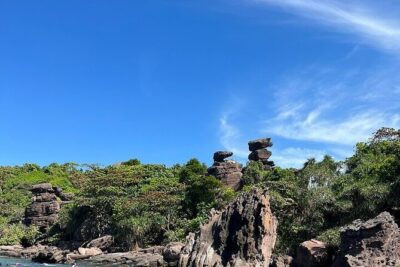 Real snorkel trip by speedboat with small group on Cham island - Dai Island (First Snorkel Stop): Soft Coral and Lots of Color