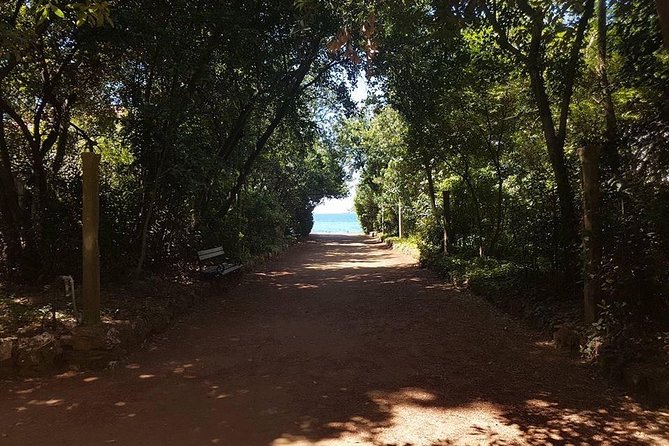 Rent a speed boat and explore beaches and coves of Elaphiti Islands - Timing, waves, and why the ride matters