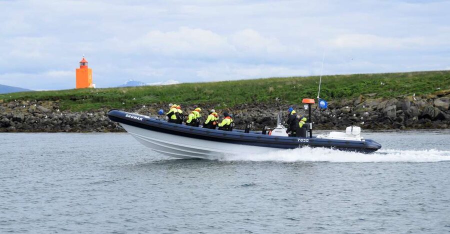 Reykjavik: Puffin Watching Tour by RIB Speedboat - Reykjavik RIB Departure From Old Harbor: how the timing really feels