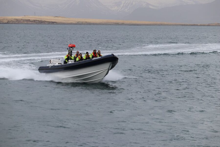 Reykjavik: Puffin Watching Tour by RIB Speedboat - Puffin Photo Reality Check: tiny birds don’t play along