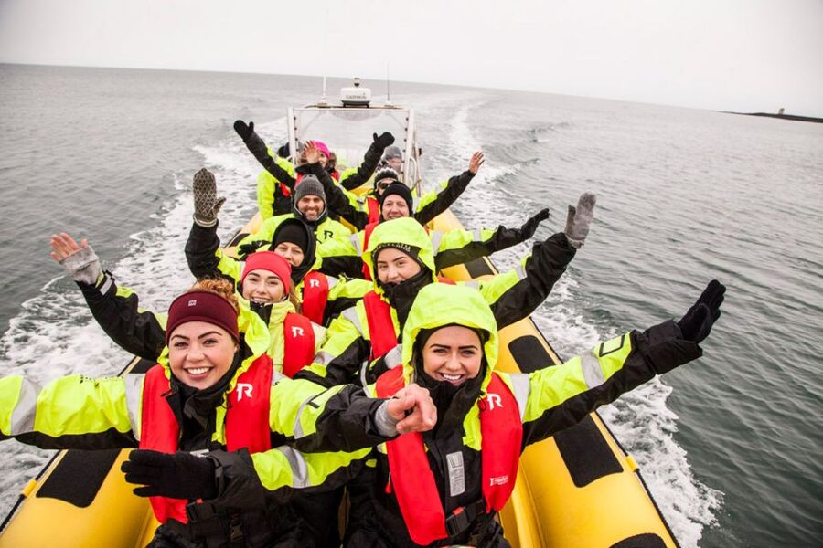 Reykjavik: Whale Watching by RIB Speedboat - Key things I’d watch for before you go
