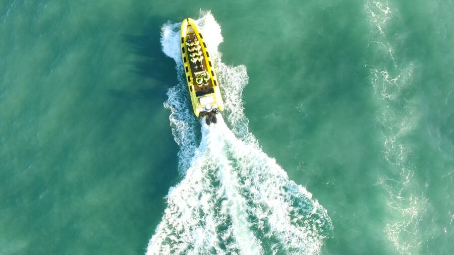 Reykjavik: Whale Watching by RIB Speedboat - Value check for $200: what you’re actually paying for