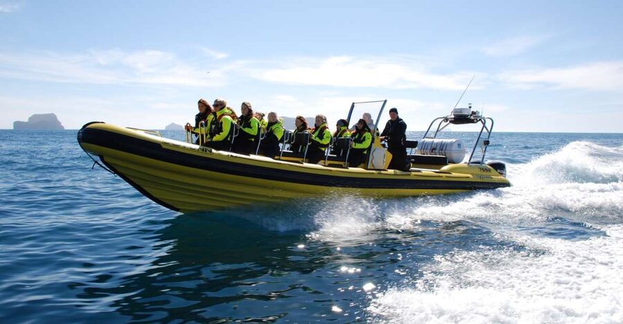 Reykjavik: Whale Watching by RIB Speedboat - The 2-hour plan: what you’ll do out on the water