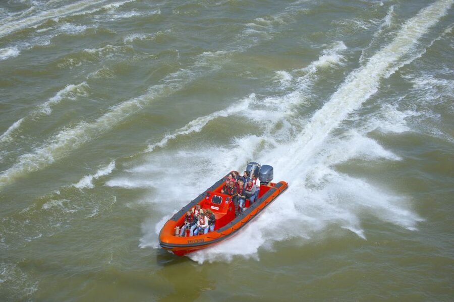 Rotterdam: Private Maas River Speedboat Cruise - Vlaardingen and the Waalhaven: working harbor geography