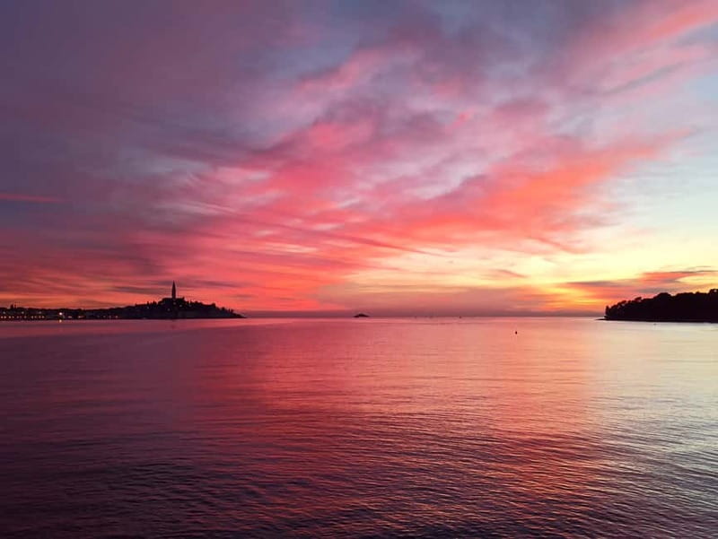 Rovinj: Dolphin Watching Sunset Speedboat Tour with Drinks - Who This Rovinj Dolphin Sunset Tour Fits Best