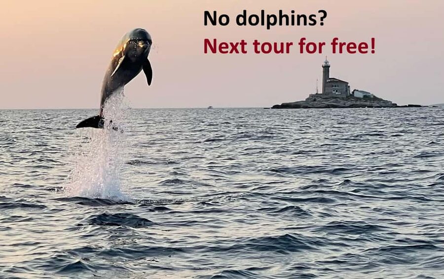 Rovinj: Dolphin Watching Sunset Speedboat Tour with Drinks - On Board Experience: Small, Clean, and Built for Real Sea Time