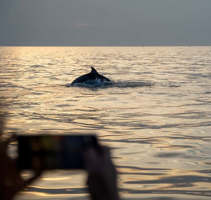 Rovinj: Dolphin Watching Sunset Speedboat Tour with Drinks - When Dolphins Don’t Show: The Free Second Chance