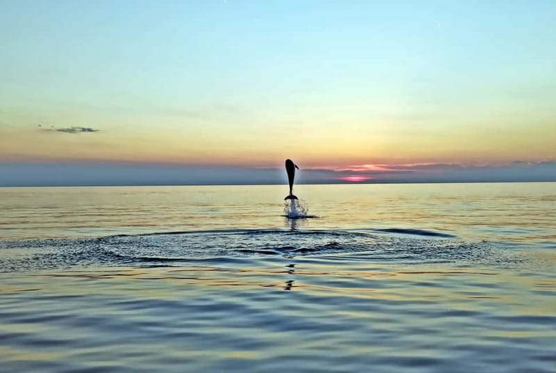 Rovinj: Dolphin Watching Sunset Speedboat Tour with Drinks - The 90-minute flow: sightseeing, speed, then a “secret stop” at sunset