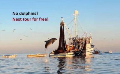 Rovinj: Sunrise Dolphins & Fishermen at Work Speedboat Tour - Picking your pier: where the 5 pickup spots actually help