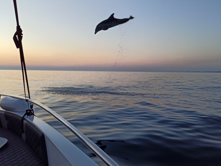 Rovinj: Sunrise Dolphins & Fishermen at Work Speedboat Tour - Watching fishermen at work from very close range