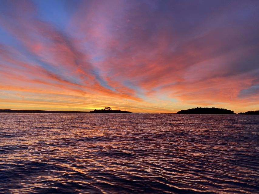 Rovinj: Sunrise Dolphins & Fishermen at Work Speedboat Tour - Price and value: what $93 gets you (and why it may be worth it)