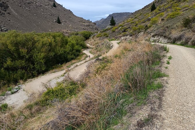 Roxburgh Gorge Bike Hire with Jet Boat & Return Shuttle Included - Trail grade and who this ride suits best (and who should skip it)