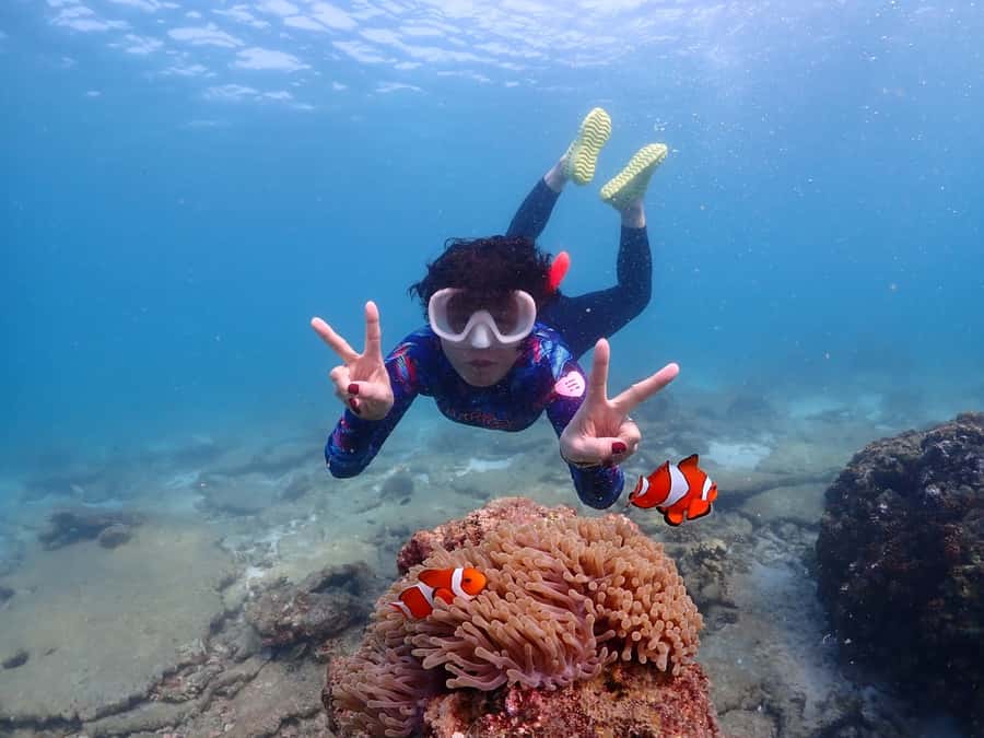 Samaesarn : Finding Nemo Snorkeling Tour Private speedboat - Price and value: is $385 for a private group worth it?