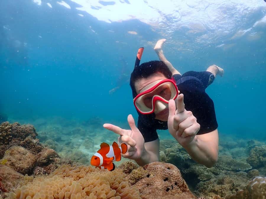 Samaesarn : Finding Nemo Snorkeling Tour Private speedboat - Samaesarn snorkeling by private speedboat: what you’re really buying