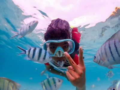 Samaesarn : Finding Nemo Snorkeling Tour Private speedboat - Getting to the water from Pattaya: pickup and timing that keeps stress low
