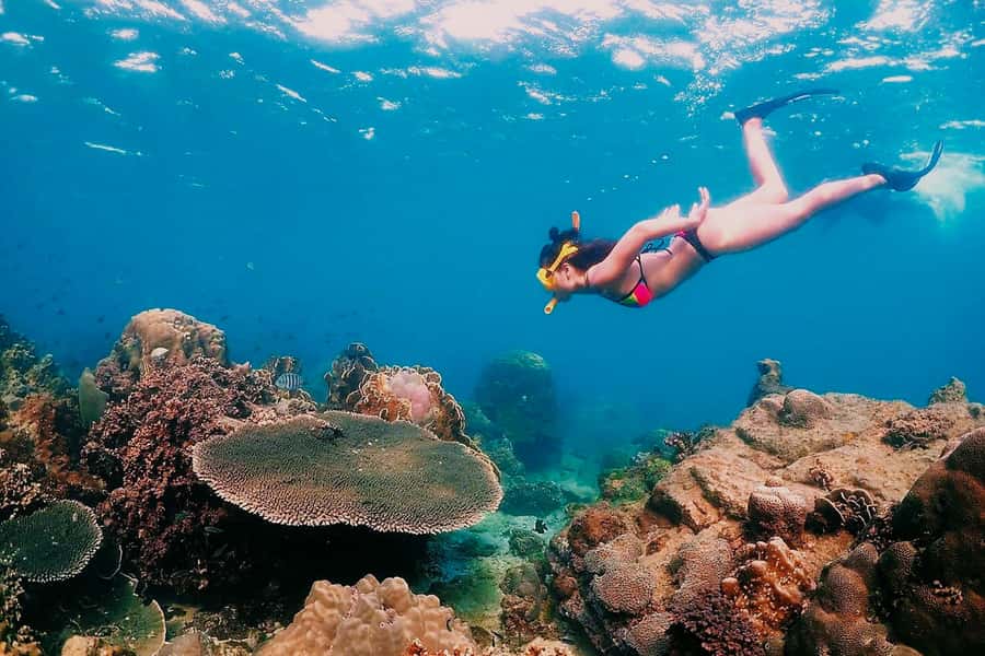 Samaesarn : Finding Nemo Snorkeling Tour Private speedboat - Samae San Island: your last snorkeling window and photo gold