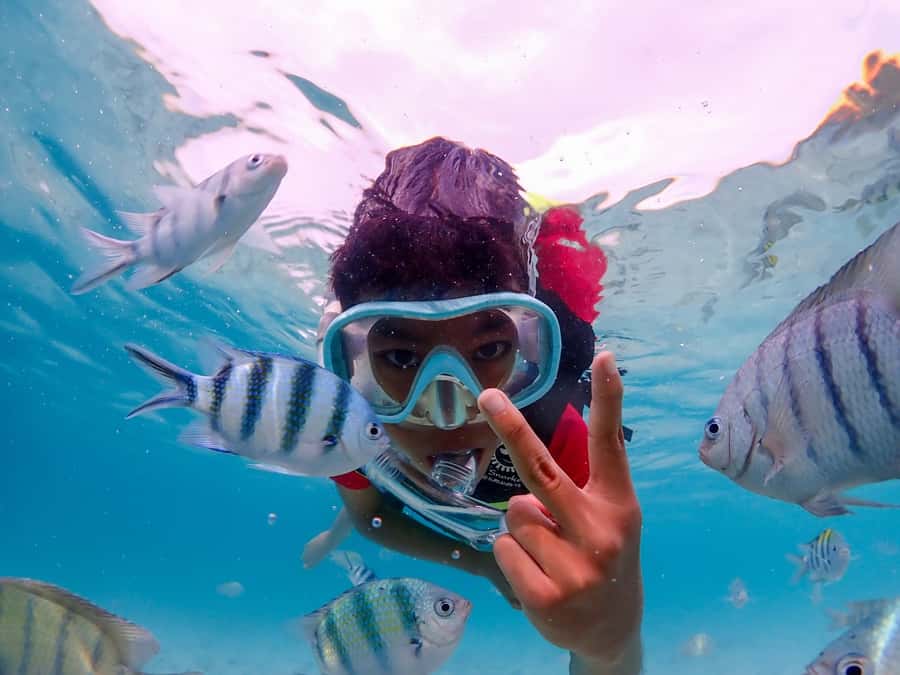 Samaesarn : Finding Nemo Snorkeling Tour Private speedboat - Getting to the water from Pattaya: pickup and timing that keeps stress low