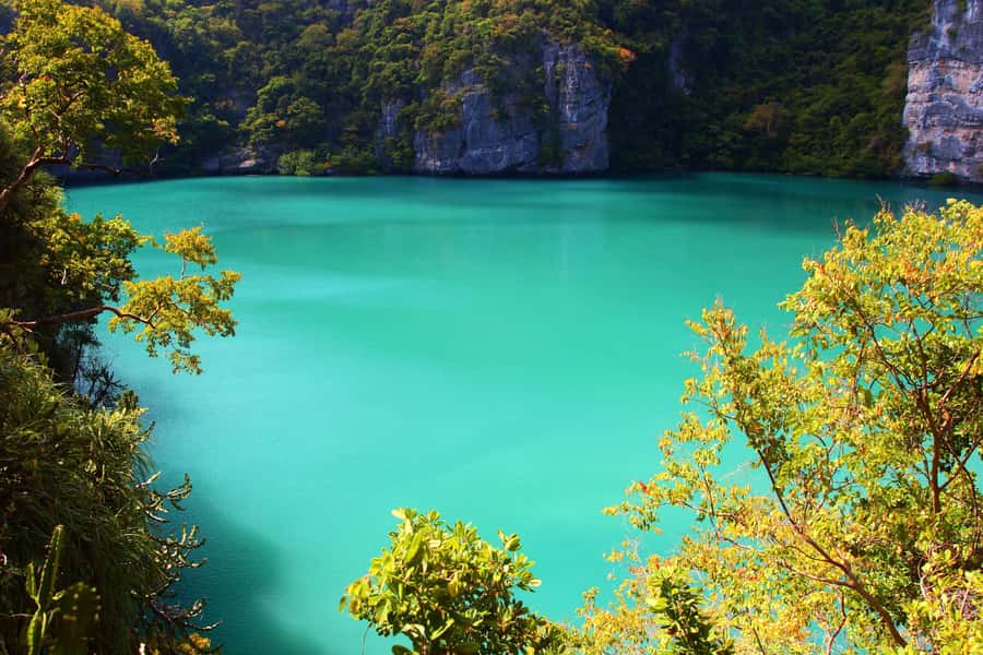 Samui: Angthong National Marine Park Day Trip by Speedboat - Value and What You Get for $73