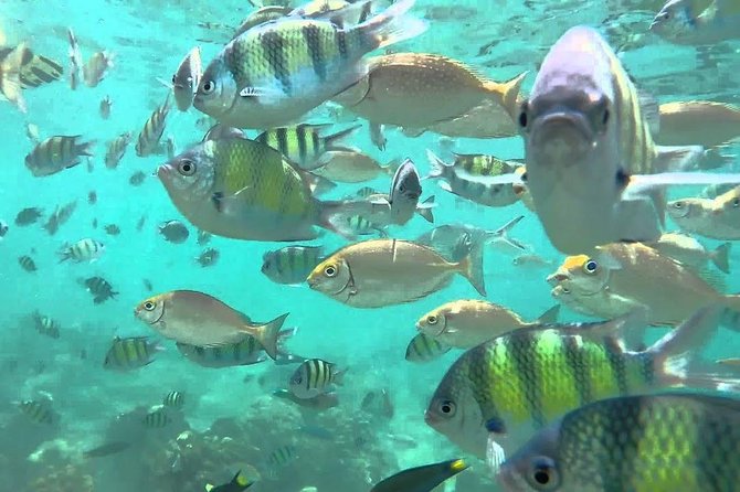 Samui Boat Charter, Private Speedboat Charter, Angthong National Marine Park - The coastal cruise: island views and a smart pacing