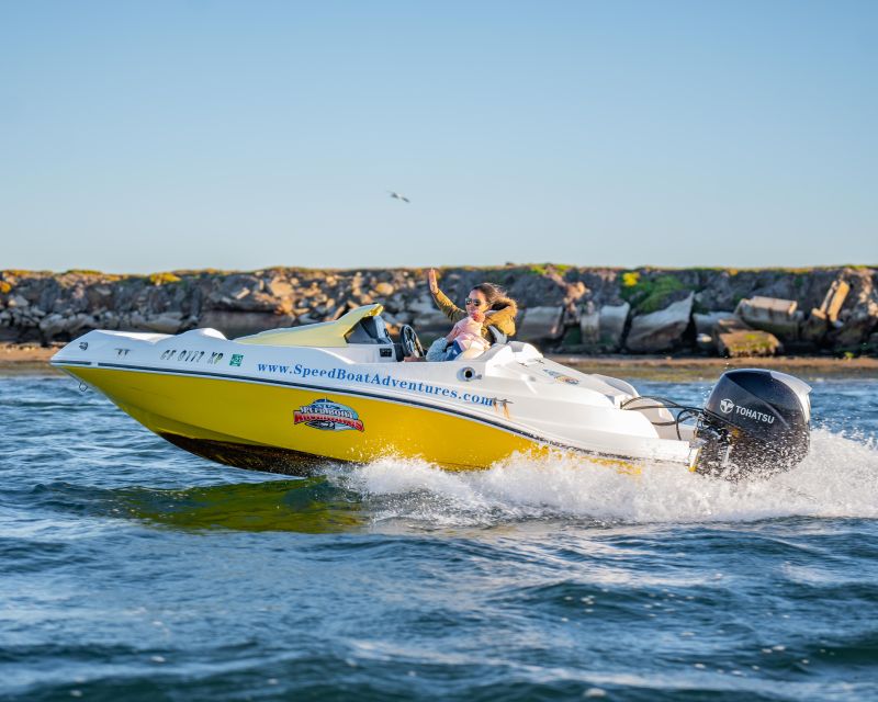 San Diego: Drive Your Own Speed Boat 2-Hour Tour - Wildlife sightings: sea lions can be part of the fun