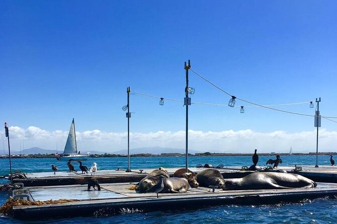San Diego Harbor Speed Boat Adventure - The Route Around San Diego Harbor: From Harbor Island to the Big Landmarks