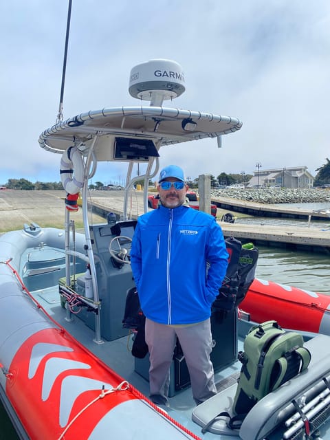 San Diego: Whale and Dolphin Watching Speedboat Tour - The Seasonal Whale Chances: Gray, Blue, and Humpbacks