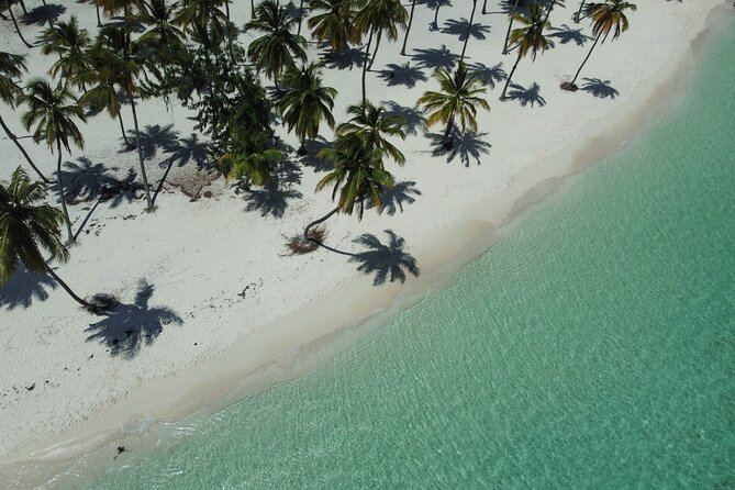 Saona by Speedboat: Private Beach & Snorkeling – Small Group - Saona’s Private Beach Setup: Loungers, Shade, and Open Bar