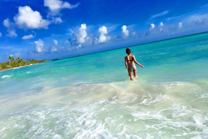 Saona by Speedboat: Private Beach & Snorkeling – Small Group - The Natural Pool and Starfish: Swim Time Without a Whole Production