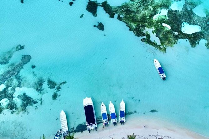 Saona by Speedboat: Private Beach & Snorkeling – Small Group - Lunch and Drinks: Dominican Buffet Plus What’s Extra