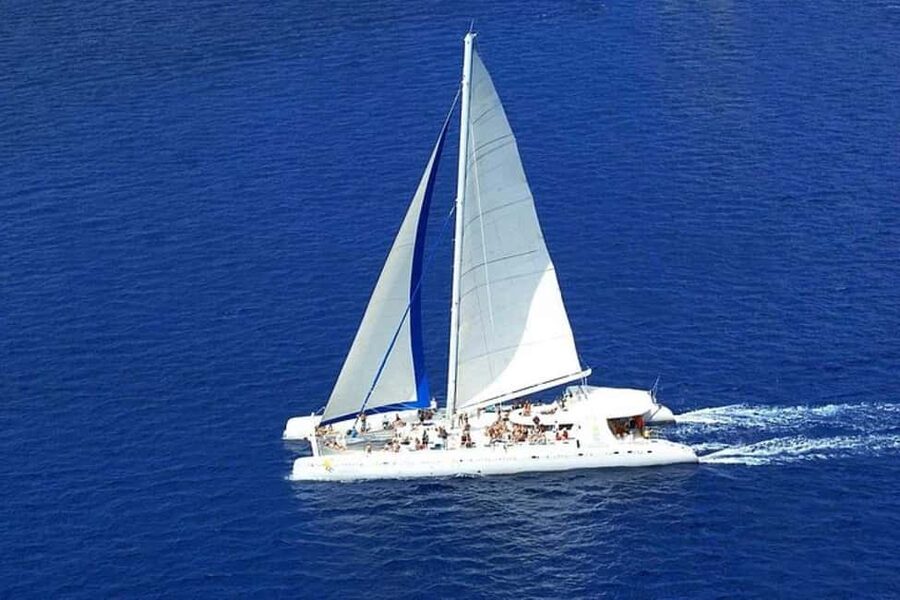 Saona Island: Catamaran/Speedboat Tour to a Dream Beach - Key points to know before you go