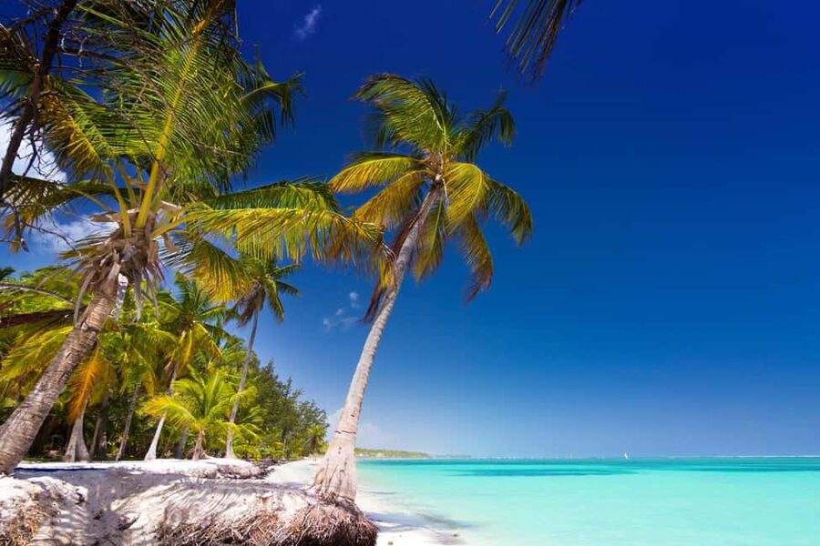Saona Island: Catamaran/Speedboat Tour to a Dream Beach - The Natural Pool: shallow sandbar magic, limited time